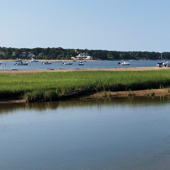 Meet your Posher, Julia - Picture 1 of 1